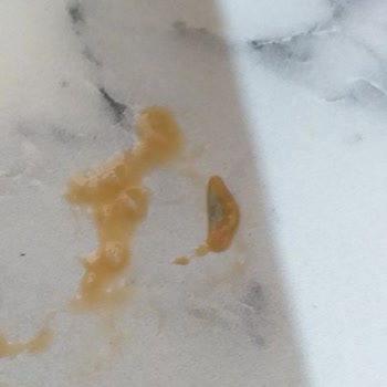 Dimes Gıda İçeceğin İçinden Parça Parça Küf Çıkması