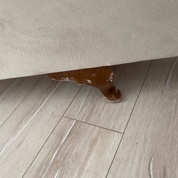 İstanbul Gaziosmanpaşa Nakliyat Taşıma Şirketi Diye Anlaştık Ama Maalesef Alakası Yok