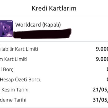 Yapı Kredi Bankası Kredi Kartı Borç Sorunu