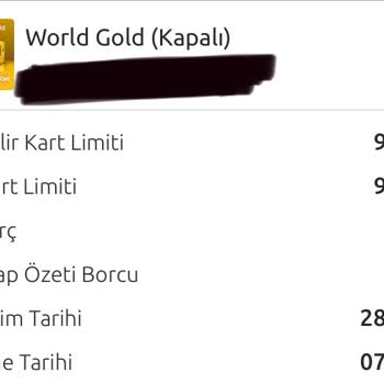 Yapı Kredi Bankası Kredi Kartı Borç Sorunu