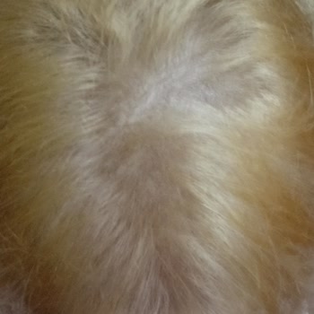 Palette 12 21 Gümüş Sarı