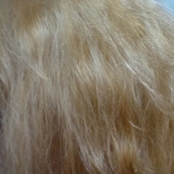 Palette 12 21 Gümüş Sarı