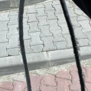 Bks Cam Balkon Dökülüyor