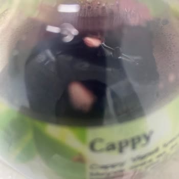 Cappy Yabancı Cisim Çıktı