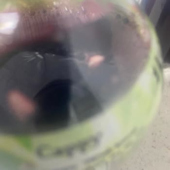 Cappy Yabancı Cisim Çıktı