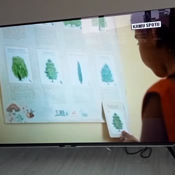Grundig 65 İnç Oled TV Kumanda Arızası