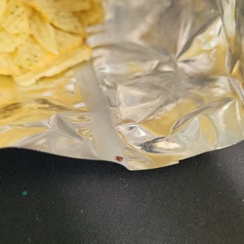 Lays Fırında Cipsten Böcek Çıktı