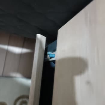 Vivense Kullanan Yuvasını Yıkar