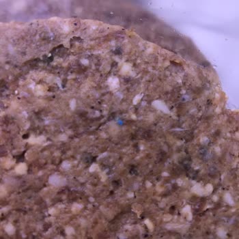 BİM Emin Köfteden Mavi Cisim Çıktı