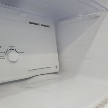 Samsung No Frost Şişmesi Alt Bölme Ayarının Çalışmaması