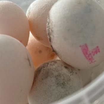 2.5 Yıllık Vestel Buzdolabının Tamamen Bozulması