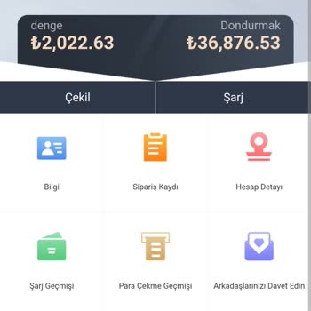 E-ticaret Marka Taklidiyle Dolandırıcılık Yanıltıldım, Yüklü Miktarda Para Kaybettim