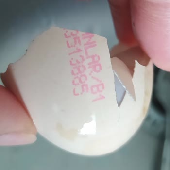 Ercanlar Yumurta Taze Tarihli Satılan Bozuk/ Bayat Yumurta Hakkında.