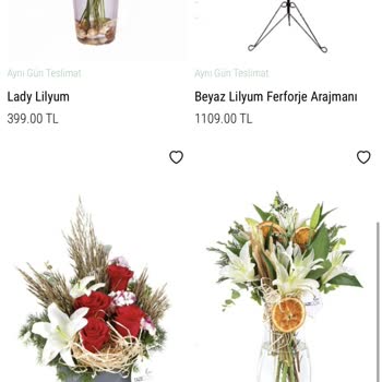 Taze Çiçek (tazecicek.com) Çiçek Siparişi