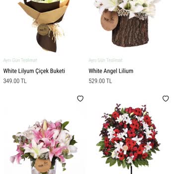 Taze Çiçek (tazecicek.com) Çiçek Siparişi