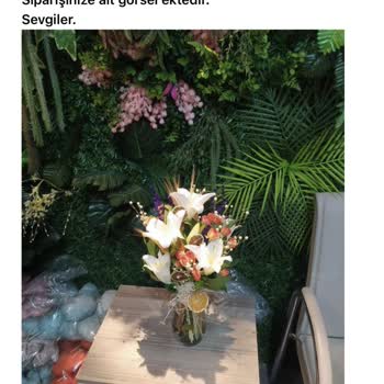 Taze Çiçek (tazecicek.com) Çiçek Siparişi