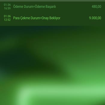 Lime Casino Para Çekme Talebi