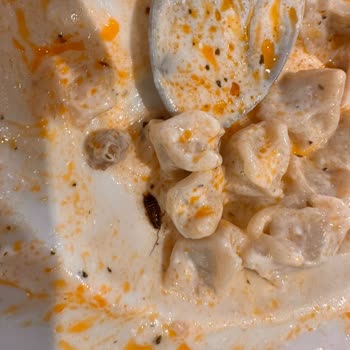 Kayseri Mutfağı Yemekten Böcek Çıktı