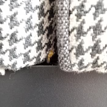 Gündoğdu Mobilya  Oturma Grubu Yırtık Oluştu