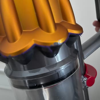 Dyson Süpürgede Boya Atması