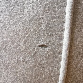 Vienza Home Hatalı Ürün ve Memnuniyetsizlik