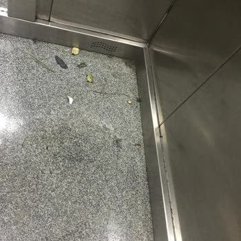 Kavakyolu Hamidiye TOKİ Konutları Site Yönetimi Şikayeti