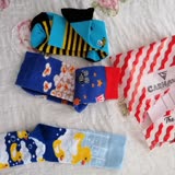Hepsiburada Carnaval Socks Eşi Olmayan Çorap