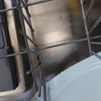 Arçelik Bulaşık Makinesi Sepet Paslanması Mağduriyeti!