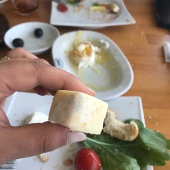 Mado Küflü Peynir Ve Hizmet