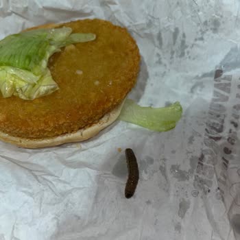 Burger King Burger İçinden Kurt Çıktı