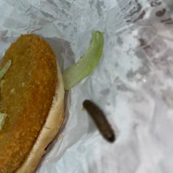 Burger King Burger İçinden Kurt Çıktı