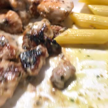 Tavuk Dünyası Yanmış Tavuklar Ve Mantarlar