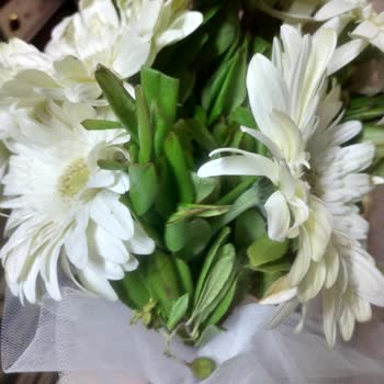 Çiçek Market (Karşıyaka) Solmuş Bir Çiçek