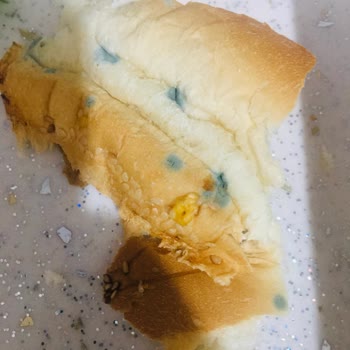 A101 Küflü Hamburger Ekmeği