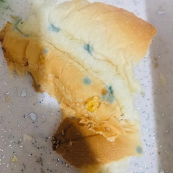 A101 Küflü Hamburger Ekmeği