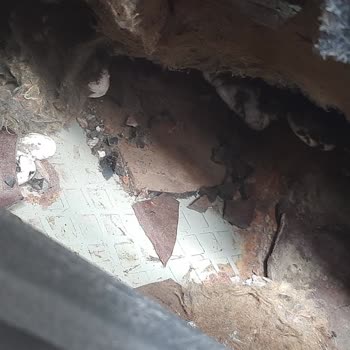 Herlastik Aracımın Arka Kısmı Zarar Gördü