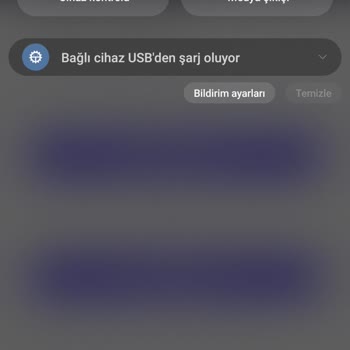 Samsung Telefon Samsung Type-c Kulaklığımı Kullanamıyorum.