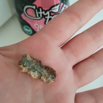 City Farm Yulaf Kepeği İçinden Küflü Cisim