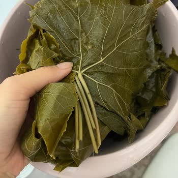 Enfes Ev Lezzetleri (enfes_ev_lezzetleri) Enfes Ev Lezzetlerinden Aldığım Yaprak Vasat