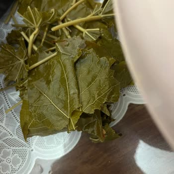 Enfes Ev Lezzetleri (enfes_ev_lezzetleri) Enfes Ev Lezzetlerinden Aldığım Yaprak Vasat