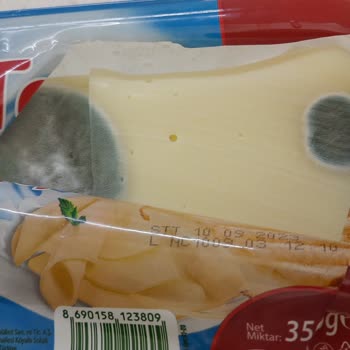 Teksüt Tarihi Olup Küflenen Kaşar