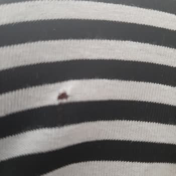 Bosch Serie 8 Washing Machine Damages Clothes By Ripping