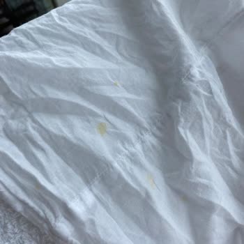 Samsung Çamaşır Makinesi Eco Bubble Sorunu