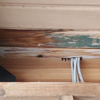 Yıldızlar Mimarlık Ahşap Ev Tasarım Tarafından Mağdur Edildim