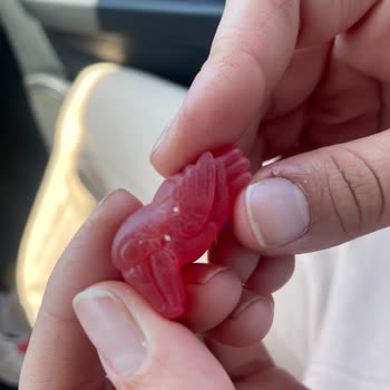 Haribo Happy Mix Jelibonun İçinden Garip Parçalar Çıktı