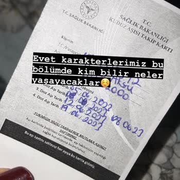 Trakya Üniversitesi Kampüste Köpek Problemi