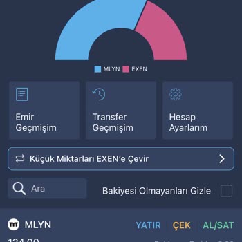 Bitexen'in Ön Satış Coini Token, Hukuksal Sorunlara Neden Olacak Şekilde Pro Tahtada Yanlış Rakamla Mı Giriş Yaptı?