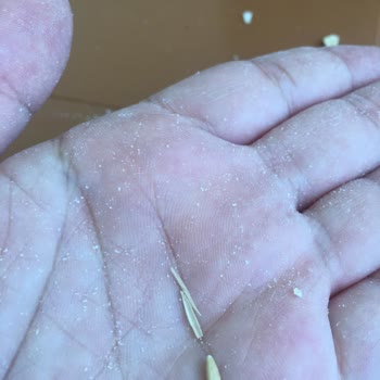 A101 Burch Yulaf Ezmesi Acı Çıktı Şikayetçiyim