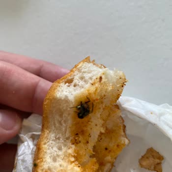 Girne Yaprak Tantuni Böcek Çıktı