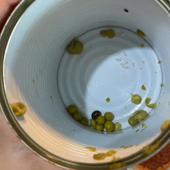 Tamek Bezelye Konservesi İçinden Böcek Çıktı